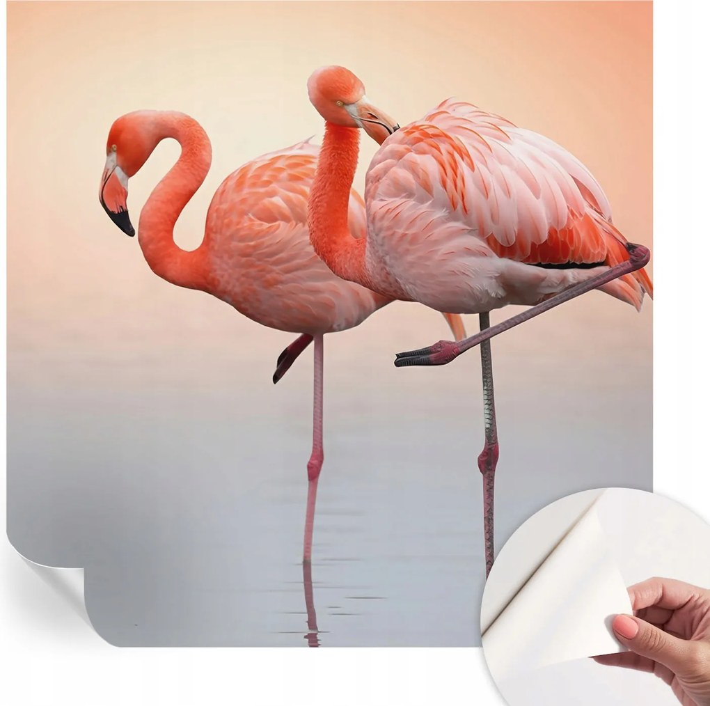Öntapadós fotótapéta Divatos Finom flamingók 250x250 cm