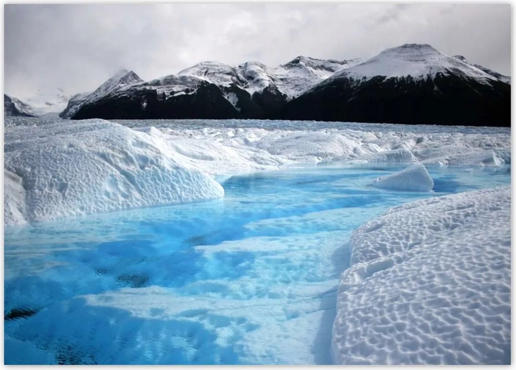 Poszterek 70x50 Kék őrző