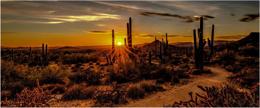 Kép - A nap vége az arizonai sivatagban (120x50 cm)