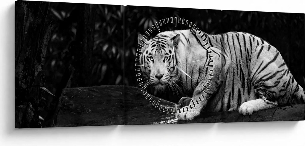 Kép - albínó tigris, fekete-fehér (órával) (90x30 cm)