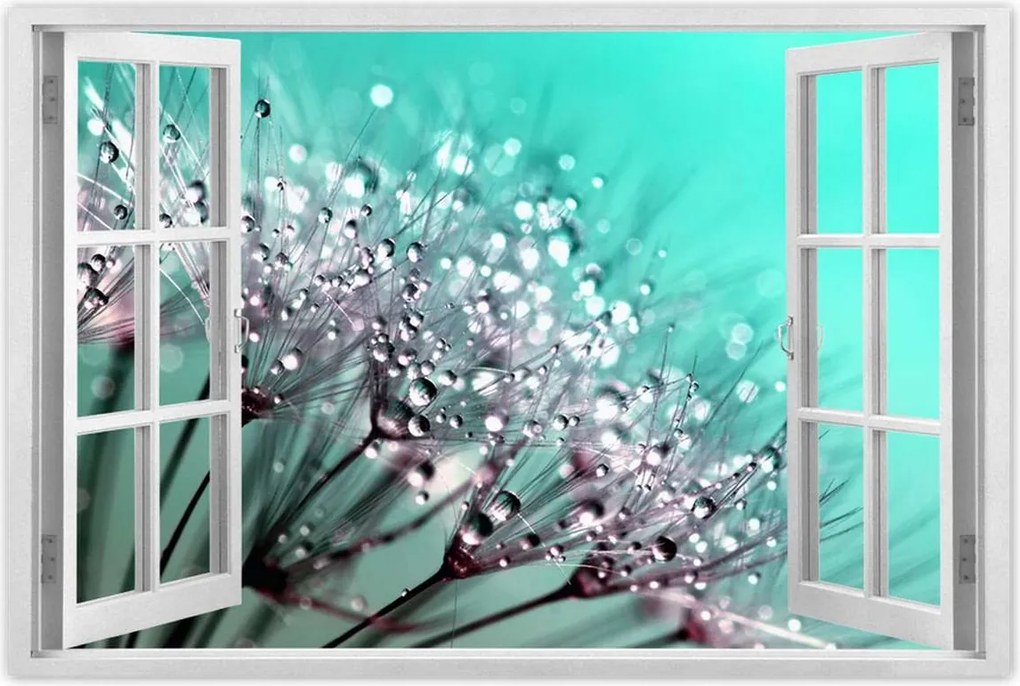 Poszterek 90x60 Harmatcseppek Pitypang