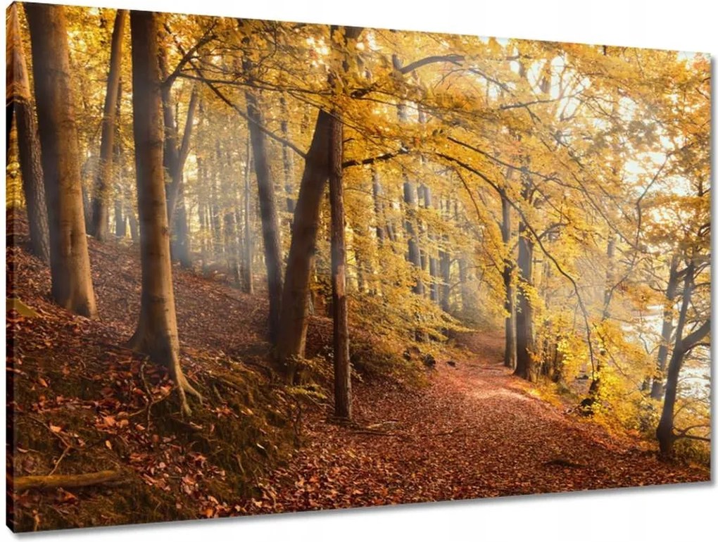 Vászonkép 90x60 Tájkép Látvány