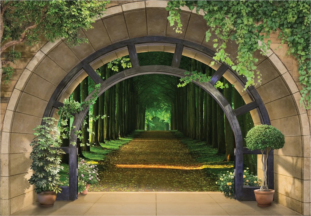 3D fotótapéta Sikátor Fák Ablak Erdő Nappali 416x254