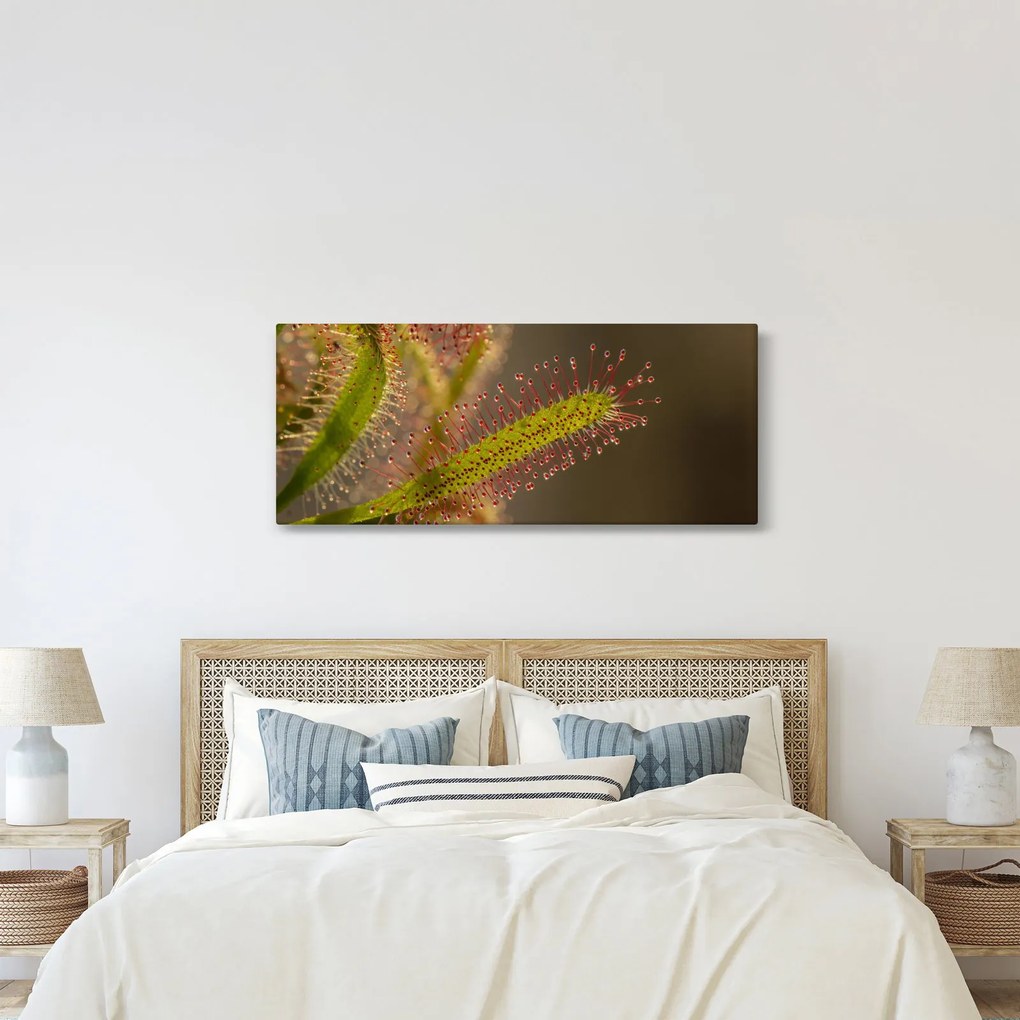 A növény képe (120x50 cm)