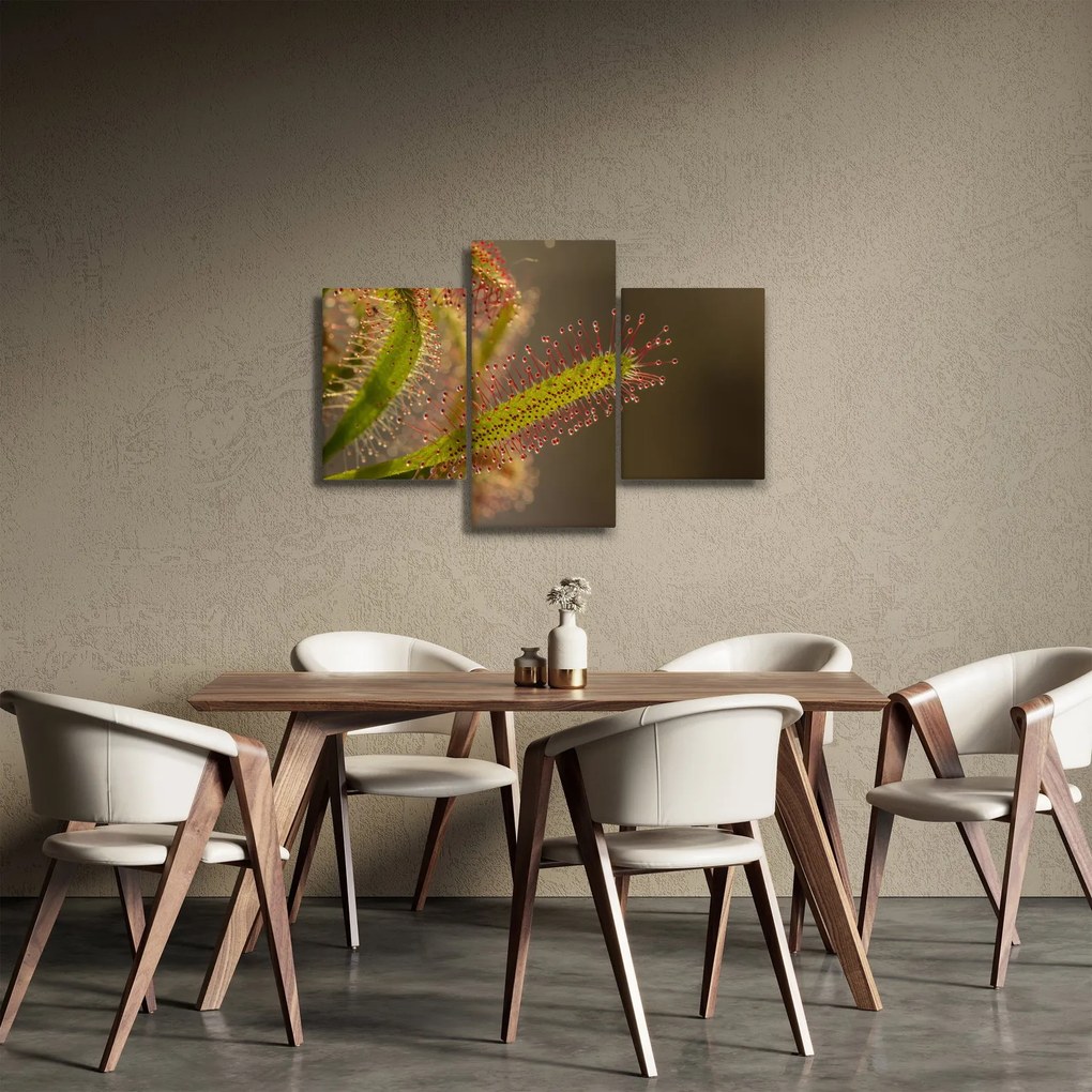 A növény képe (90x60 cm)
