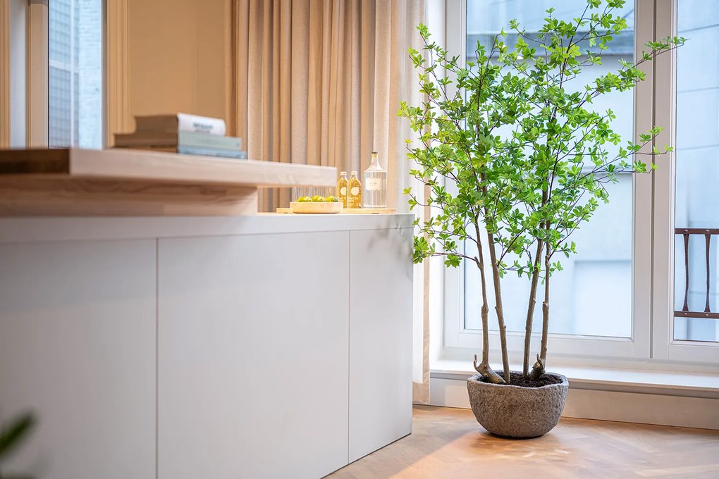 Pottery Pots Mt. Francis virágcserép, szürke diorit, többféle méretben - Fazekas edények méret: S - ⌀ 59, óra. 29 cm