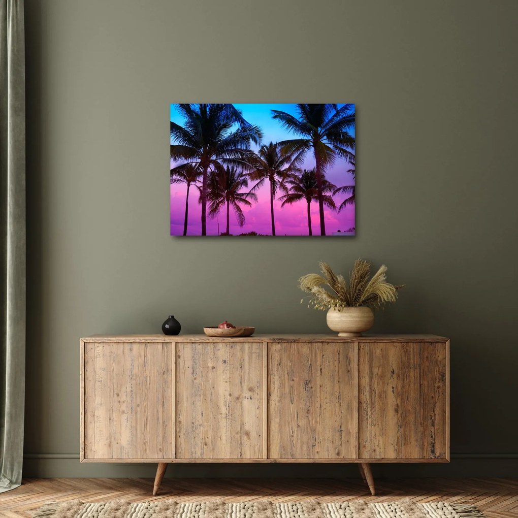 Kép - Pálmafák Miamiban (70x50 cm)