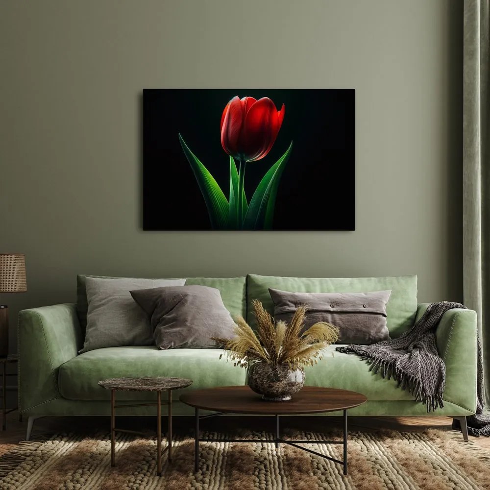 Kép vörös tulipán elegancia