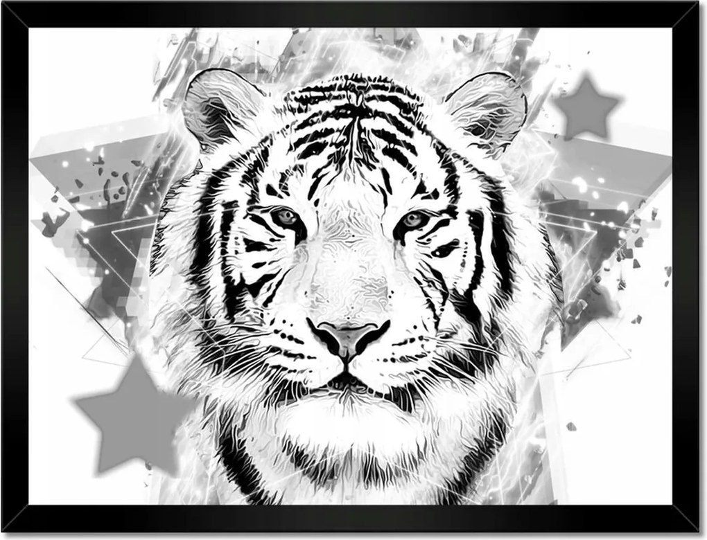 Poszterek keretben 40x30 Tigris fej grafika