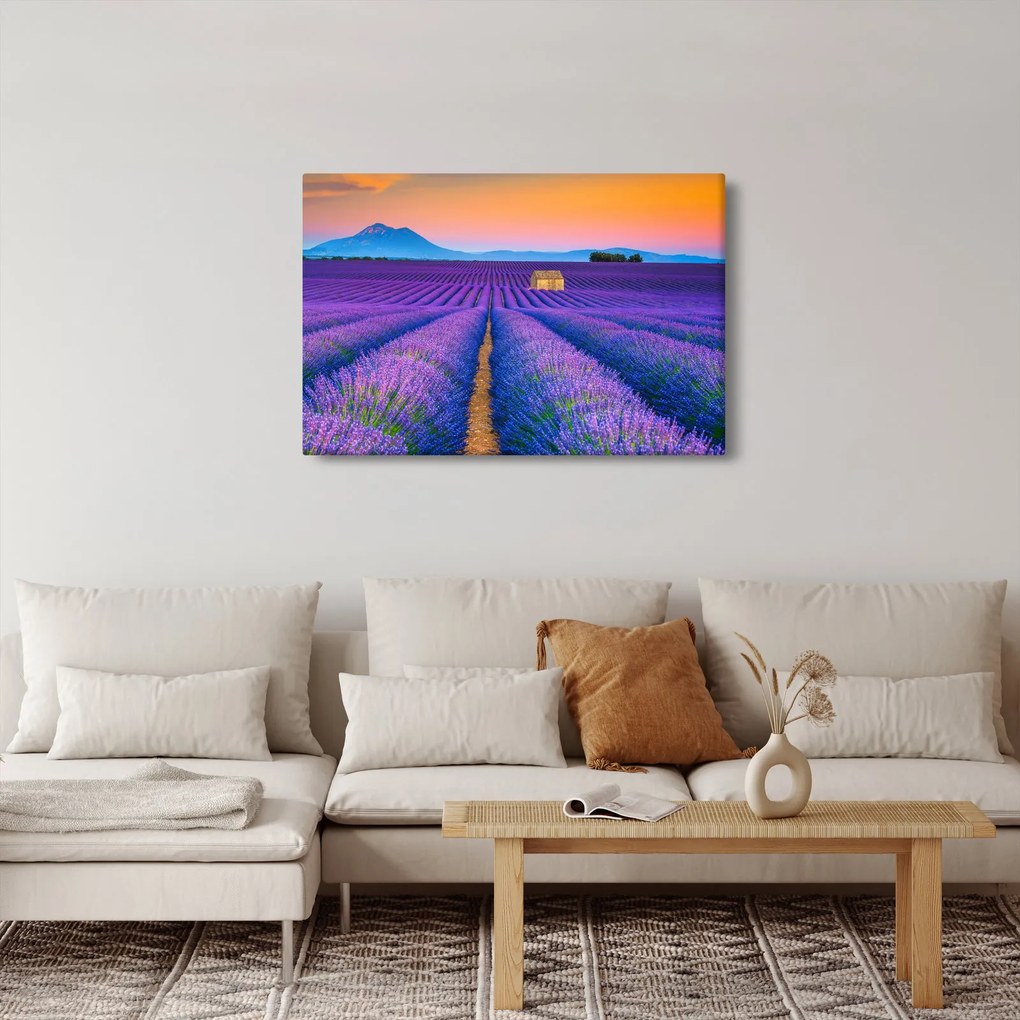 Kép - Levendula mező (90x60 cm)