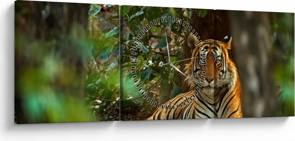 Pihenő tigris képe (órával) (90x30 cm)