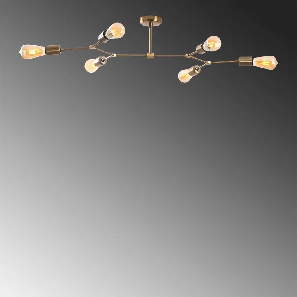 Sparrow - 1241
