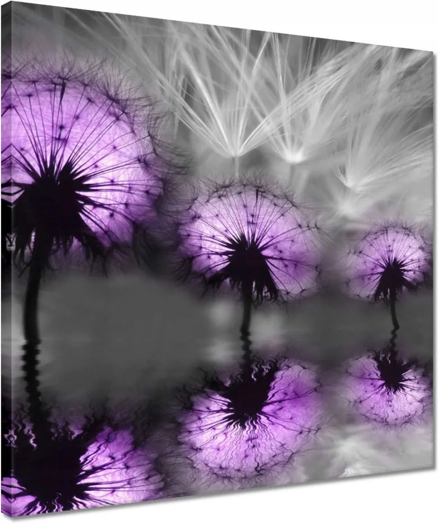 Vászonkép 40x40 Tükröződés a vízben Sárkányok