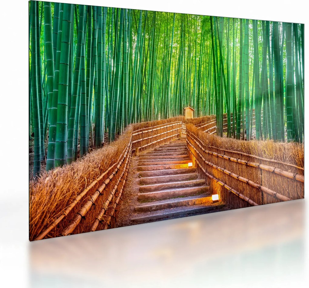 Kép - Japán bambusz erdő (üvegen) (70x50 cm)