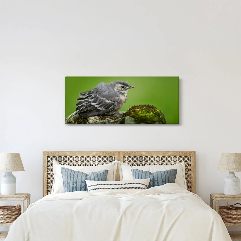 Kép - Légykapó (120x50 cm)