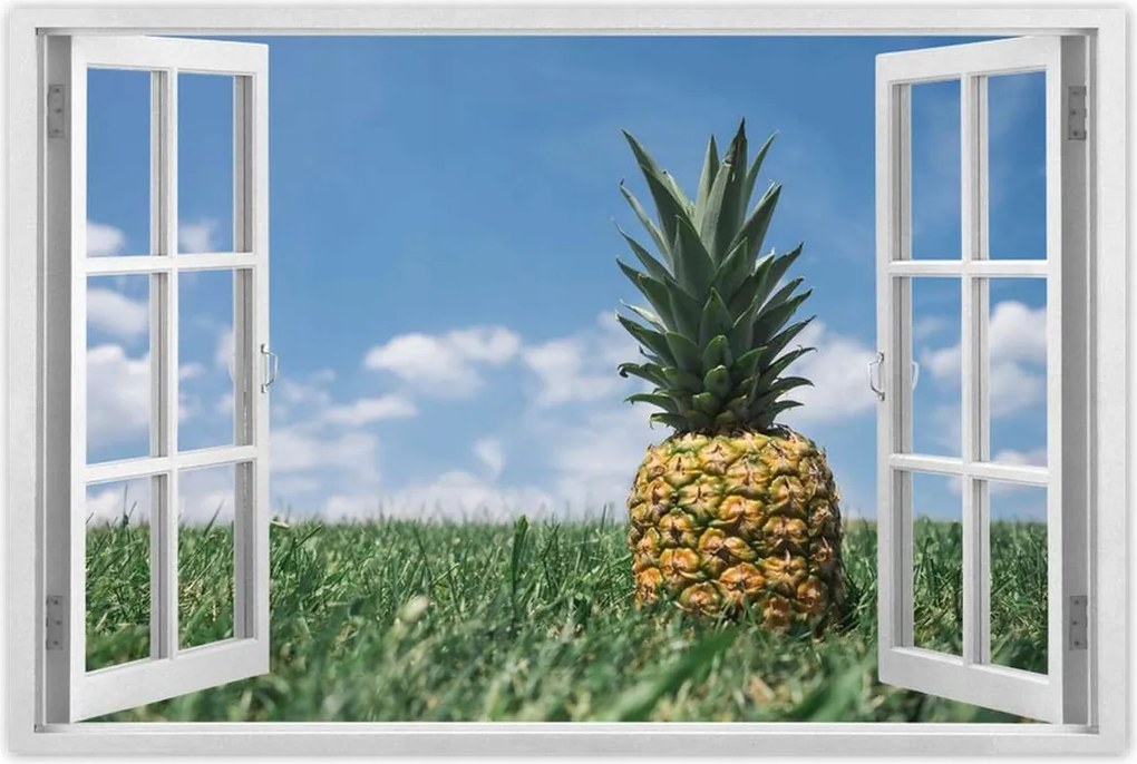 Poszterek 60x40 Ananász tájkép