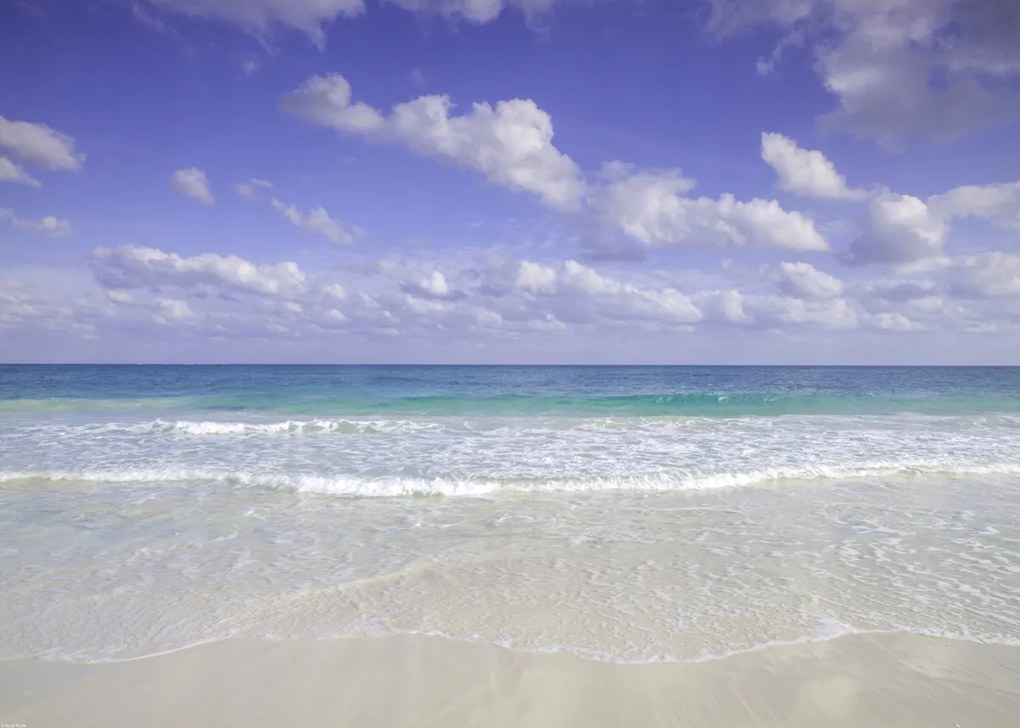 Poszter 70x50cm Cancun tengerpart, Assaf Frank