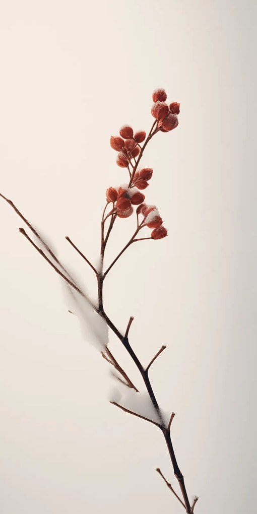 Poszter 50x100cm A tél finom ereje