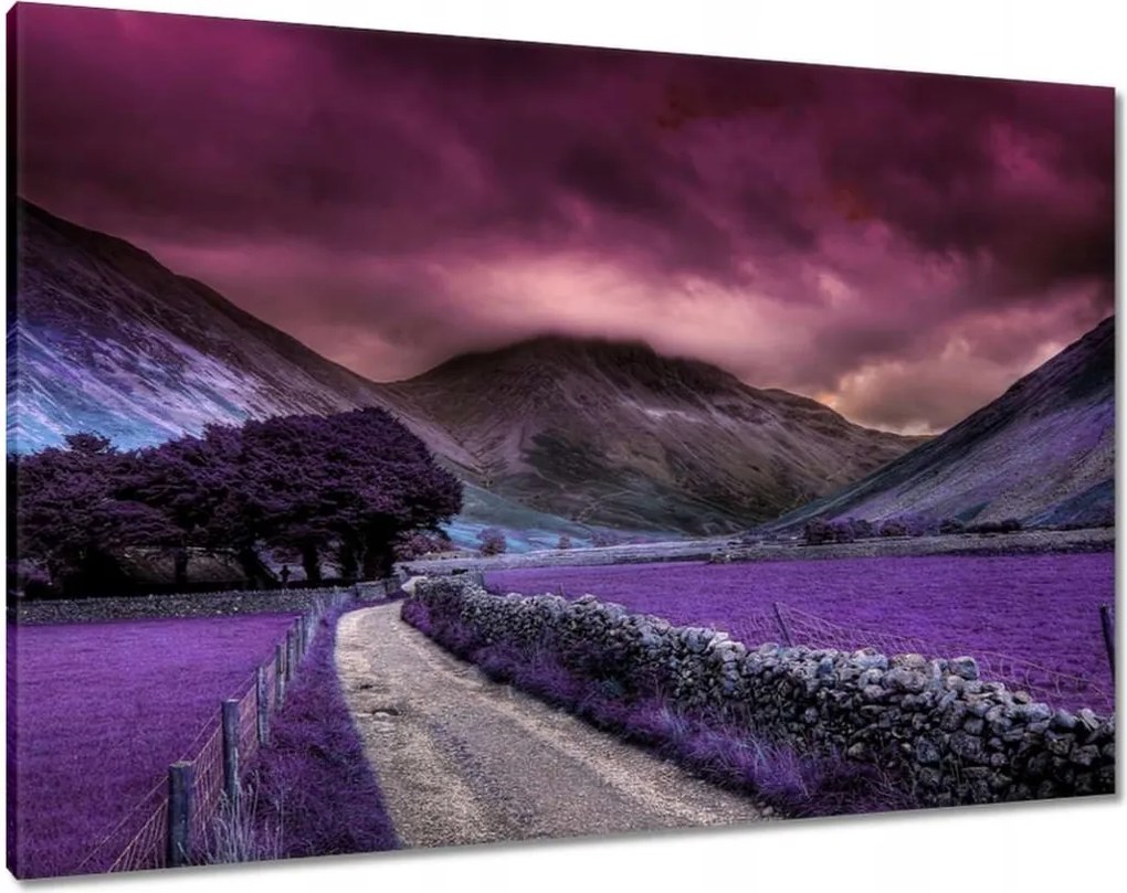 Festmények 100x70 Lila tájkép