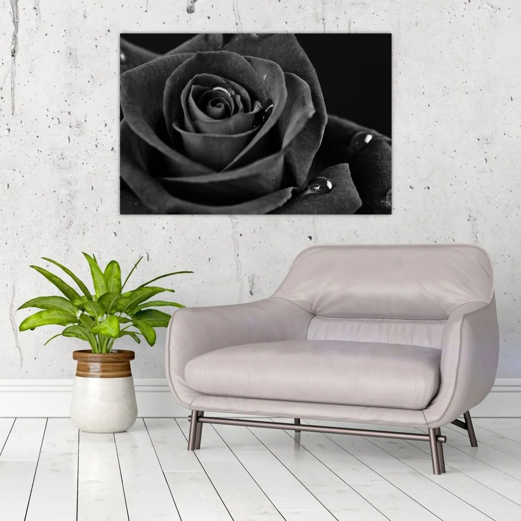 Kép - Bíborvörös rózsa (90x60 cm)
