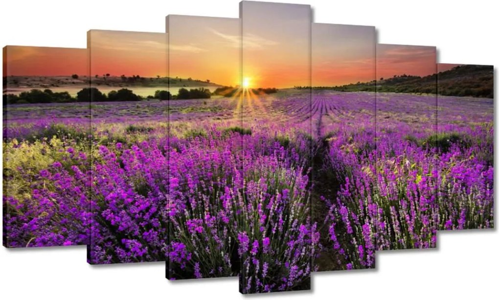 Vászonkép 140x80 Levendula rét