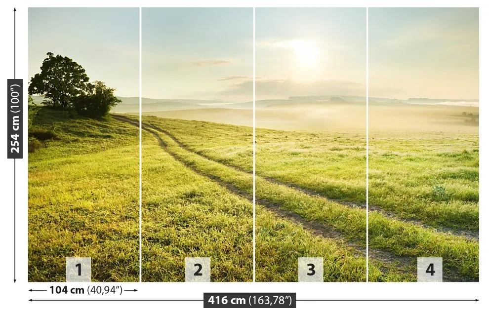 Fotótapéta Mező és napkelte 104x70 cm