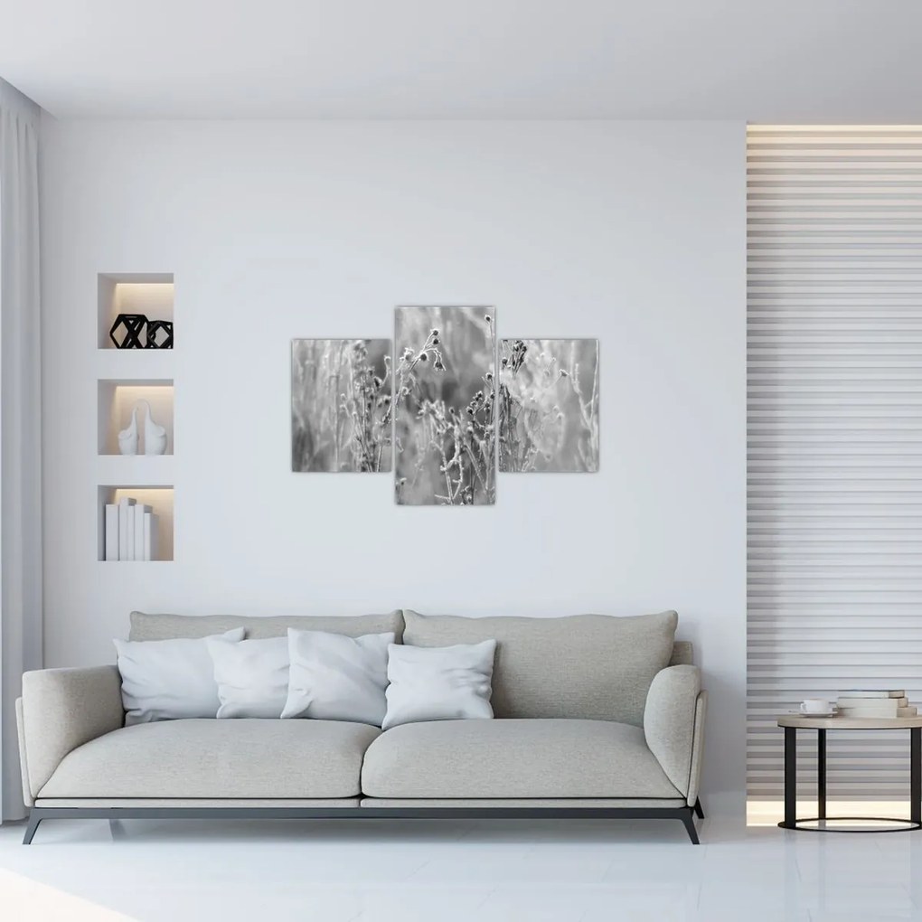 Kép - Wild Meadow (90x60 cm)