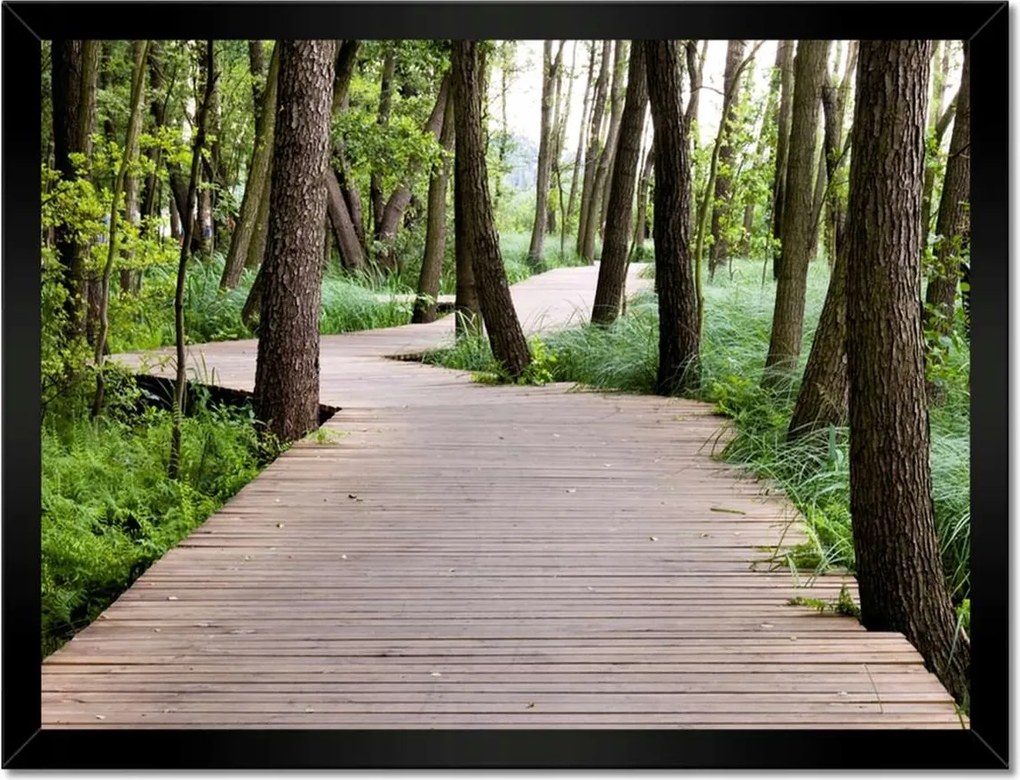 Poszterek keretben 40x30 Park Wolsztynban