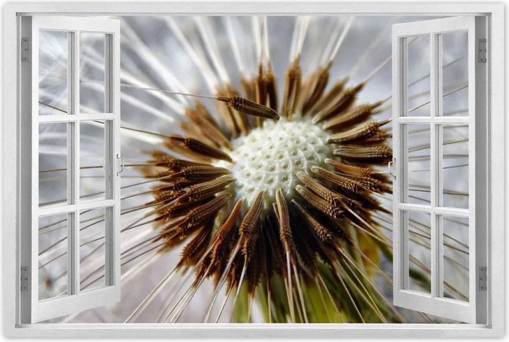 Poszterek 90x60 Pitypang Virág Virágok