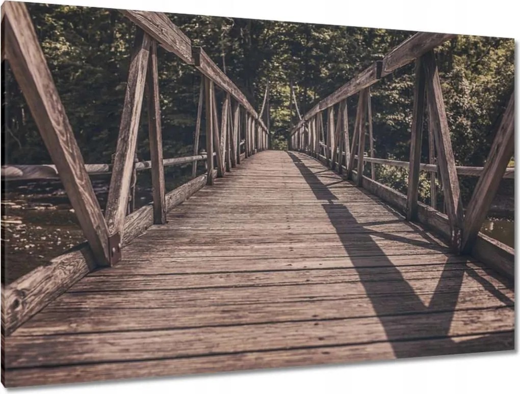 Festmények 120x80 Fa híd