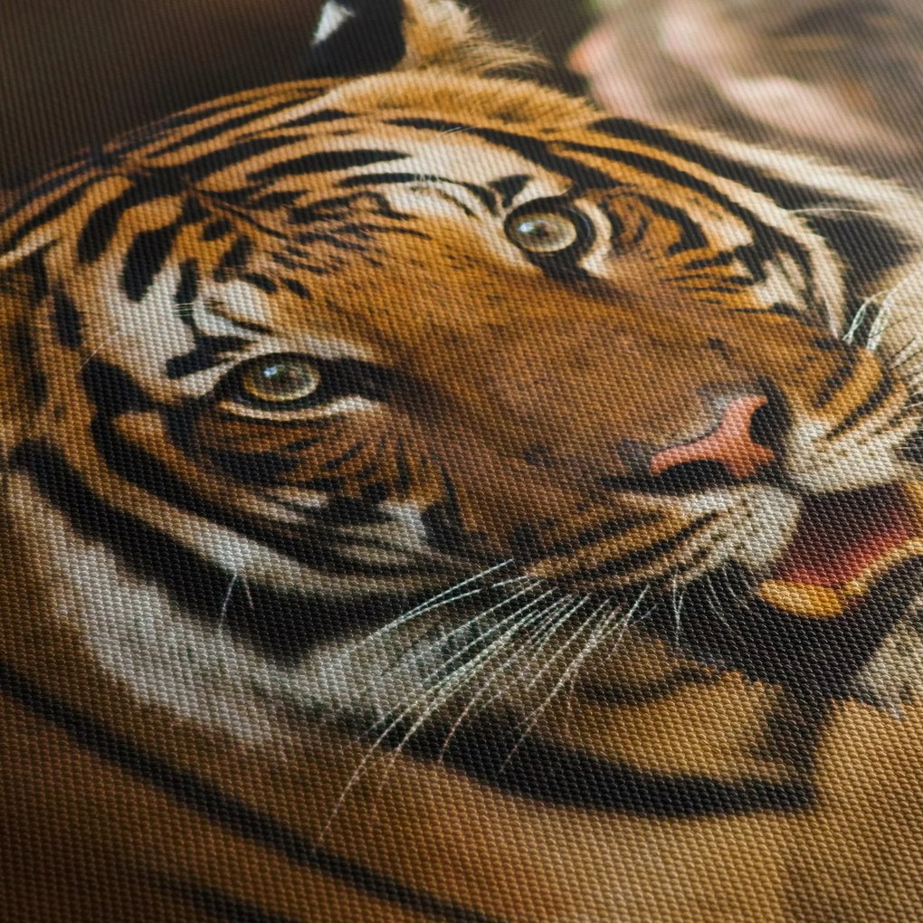 Tigris képe (órával) (90x30 cm)