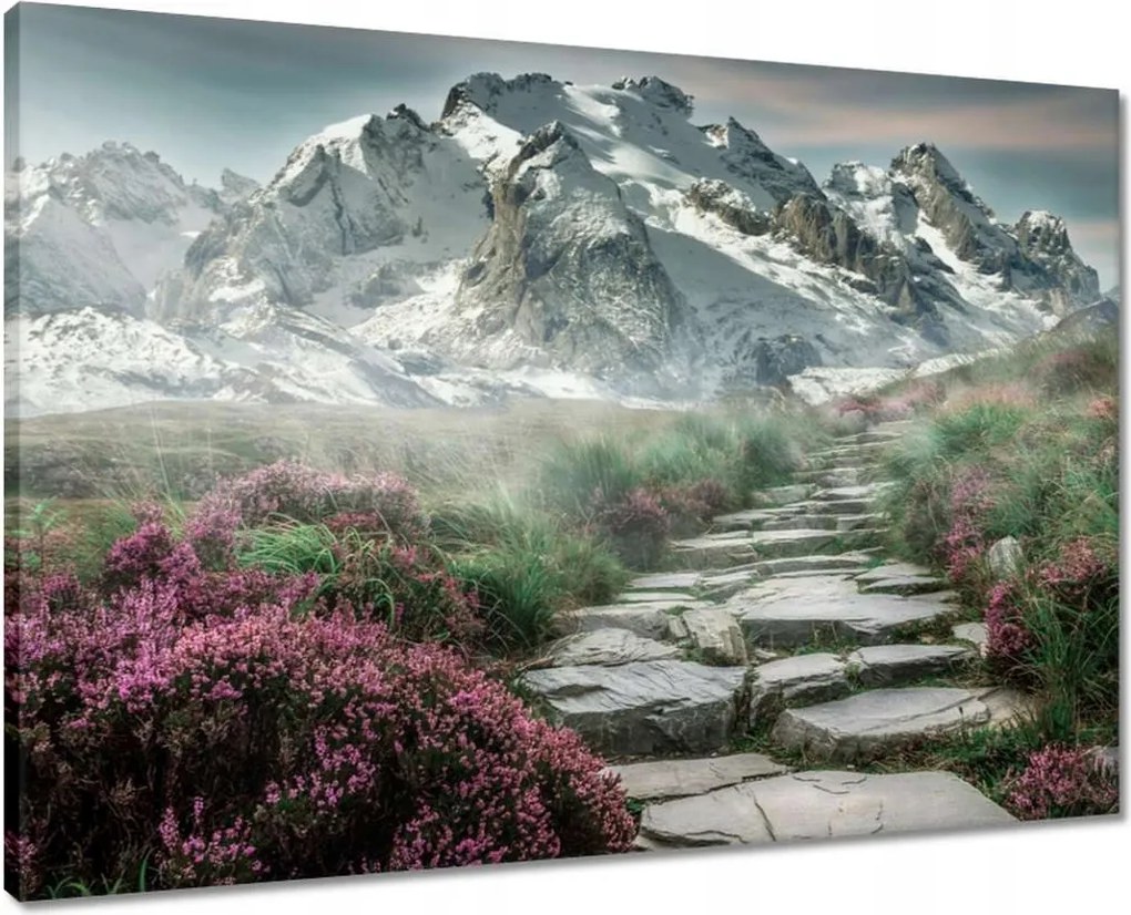 Vászonkép 70x50 Hegyi kilátás Tájkép Köd