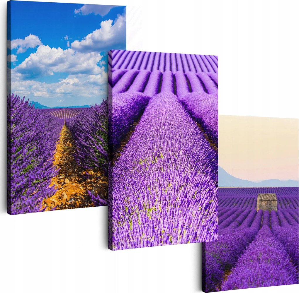 Vászonkép 150 cm **többféle minta** Nappali Képek Triptichon Virágok