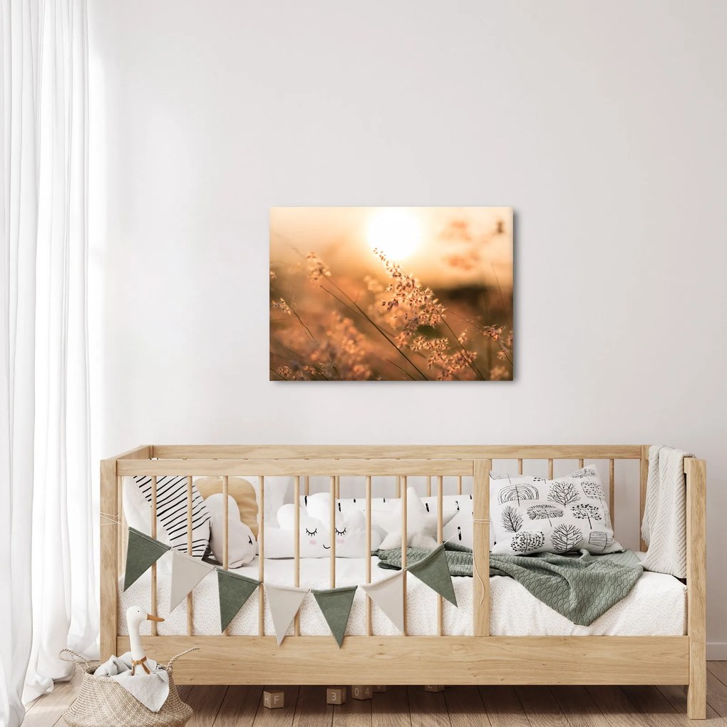 Kép - Fű a napon (70x50 cm)