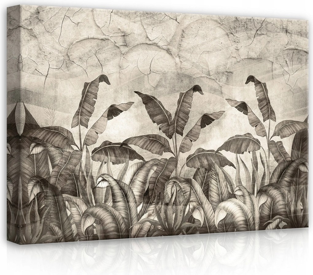 Vászonkép 70x50 Trópusi levelek dzsungel szürke textúra természet nyugalom botanika