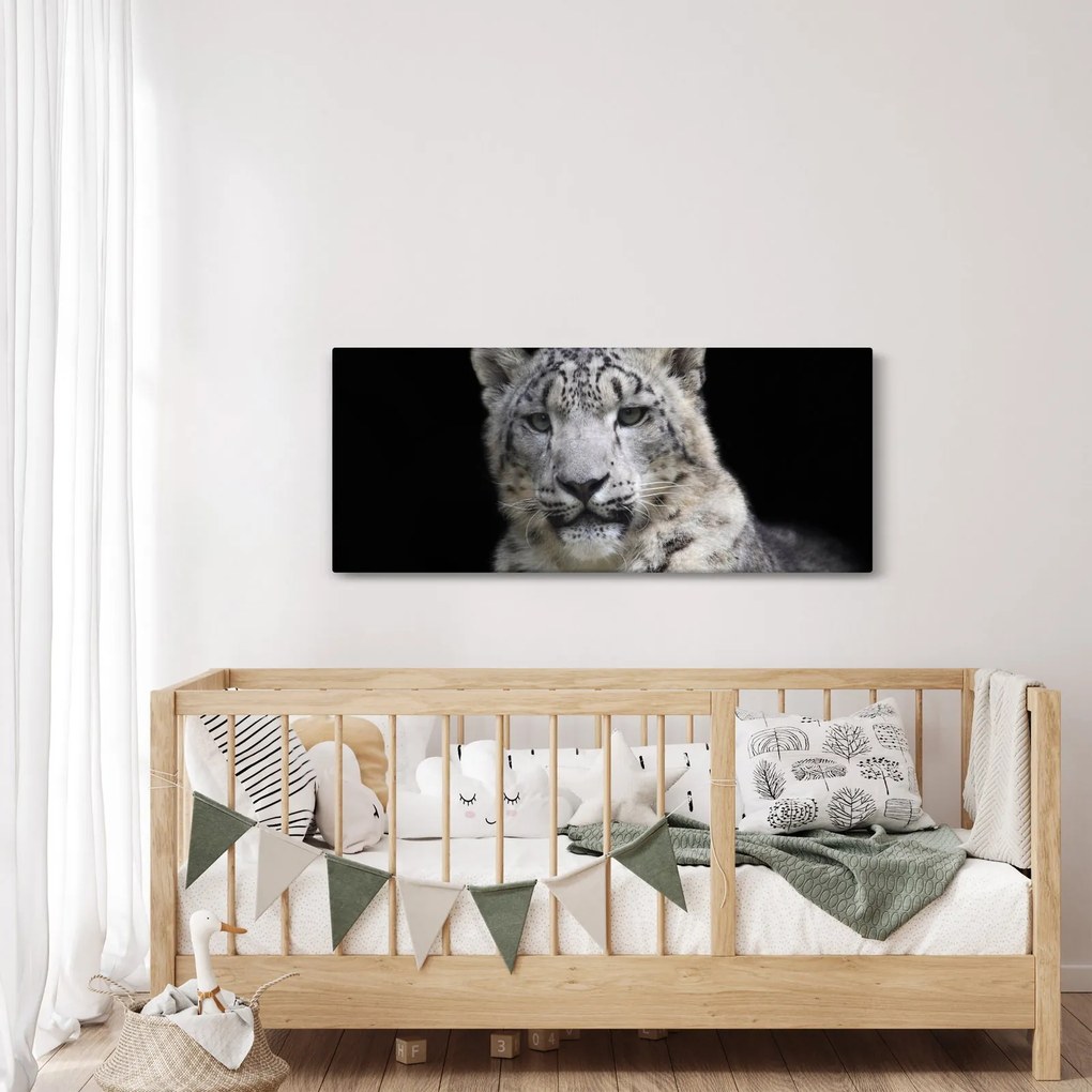 Kép - Snow Leopard (120x50 cm)