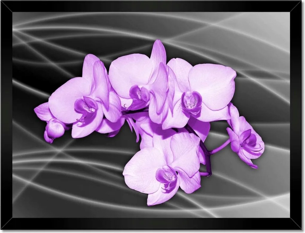 Poszter keretben 40x30 Szép virág orchidea lila