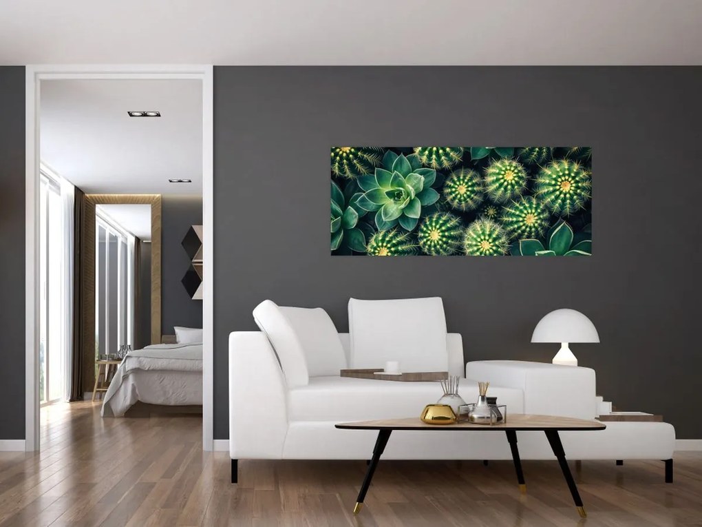 Kép - Kaktuszok (120x50 cm)