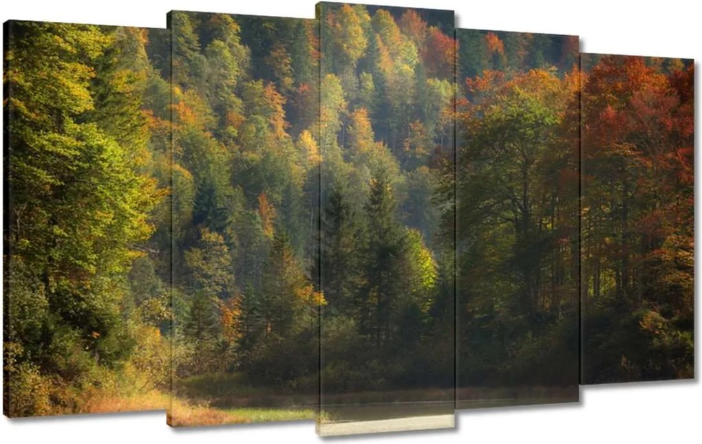 Festmények 100x60 Erdei táj Kilátás