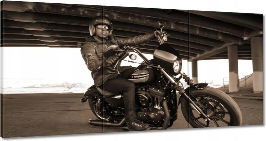 Képek 180x90 Harley Davidson Motorkerékpár