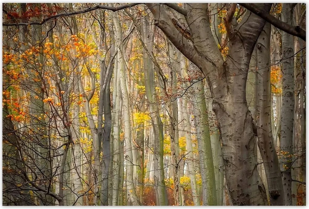 Poszterek 120x80 Tájkép Látvány