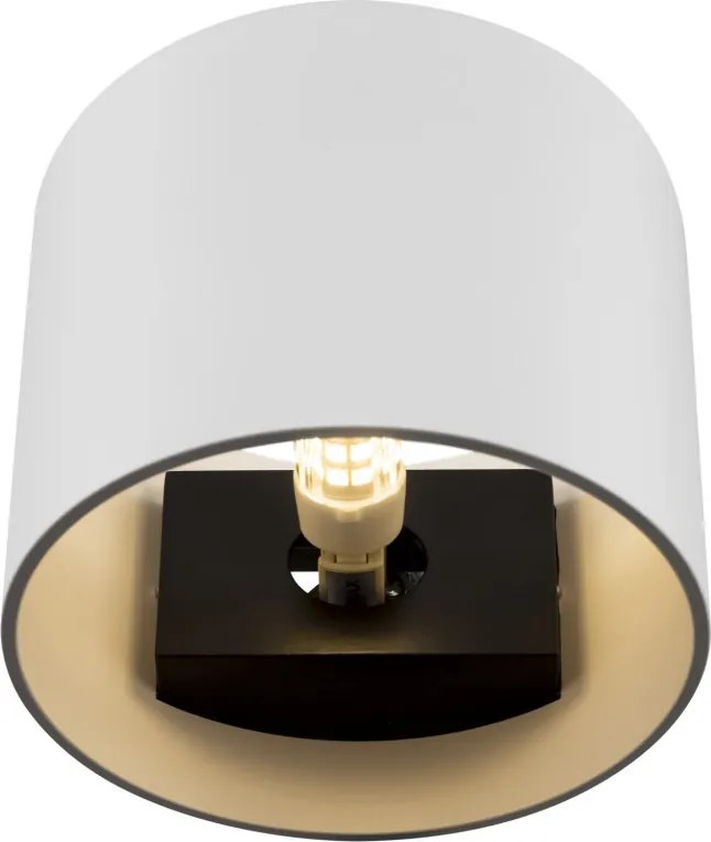 Maytoni ROND C066WL-01W Fali lámpa 1x50W/G9