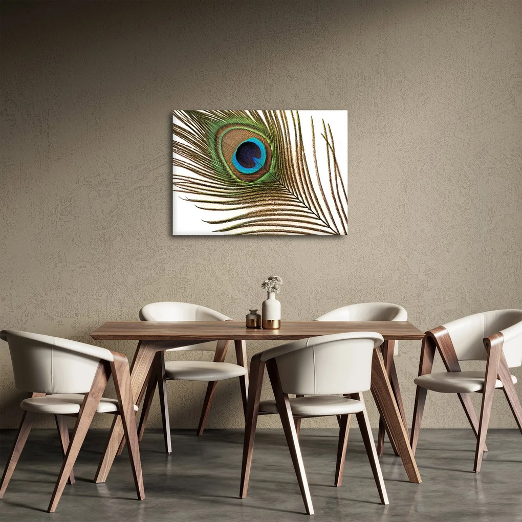 Pávatoll képe (70x50 cm)