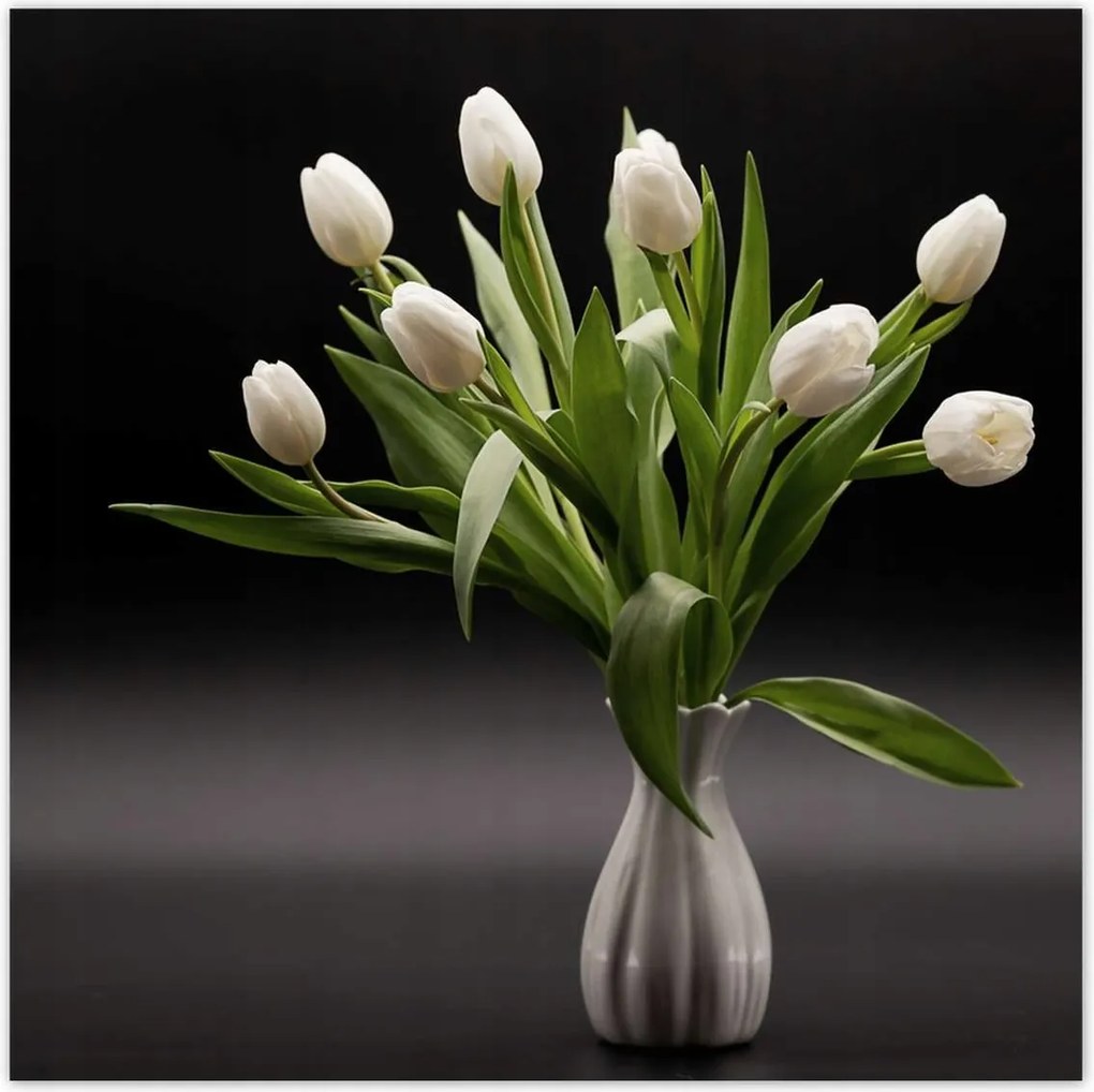 Poszterek 100x100 Fehér tulipánok vázában