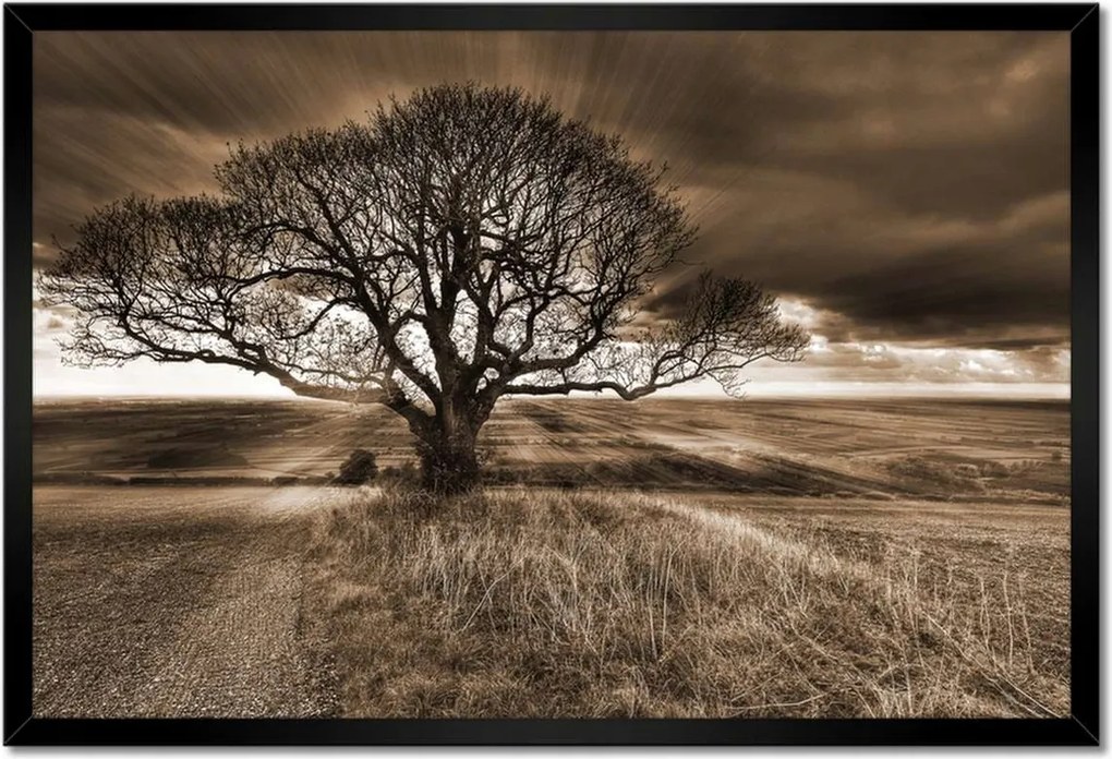 Poszterek keretben 60x40 Tájkép varázslattal