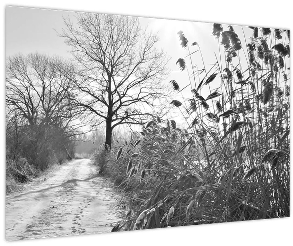 Kép - Mezők télen (90x60 cm)