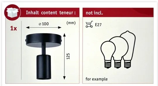 Paulmann 79760 - Mennyezeti lámpa HALDOR 1xE27/20W/230V