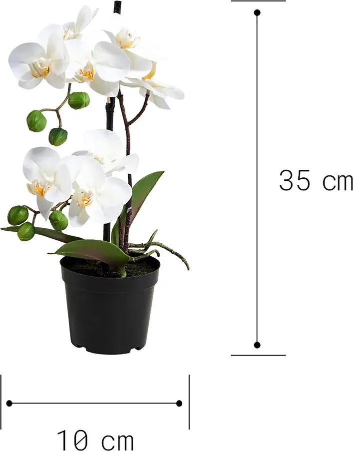 FLORISTA cserepes orchidea, 35 cm