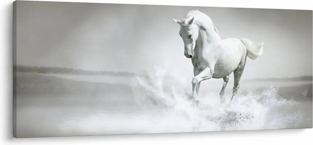Kép - Fehér ló (120x50 cm)