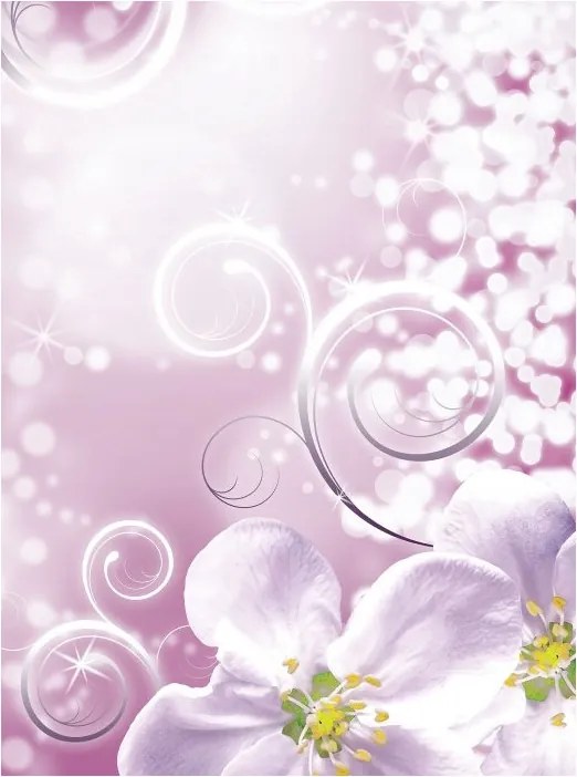 Fotótapéta Ezüst Virágok Tavasz Absztrakt Elegancia 184x254 vinil +ragasztó